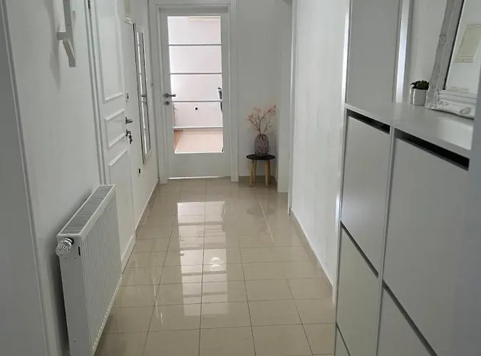 Greta's Self-check In Zara