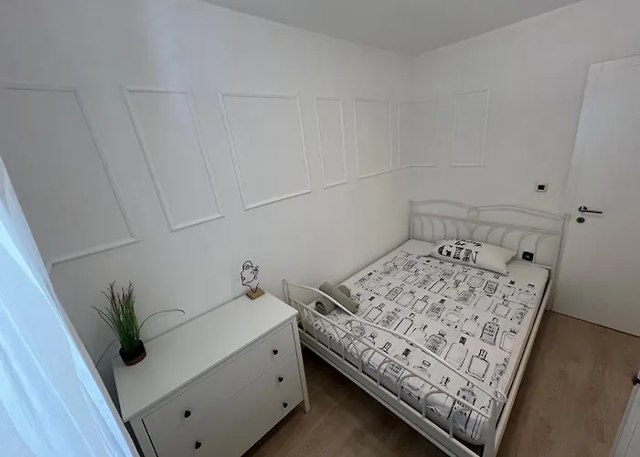 Greta's Self-check In * Zara